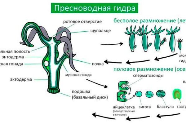 Кракен это наркозависимость